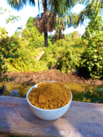 Aguaje powder (Mauritia flexuosa)