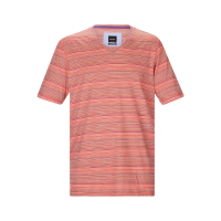 Multicolor Stripe Men's Tee Shirt