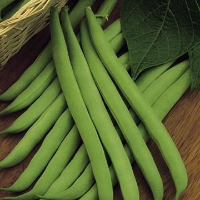 French Beans 3kg and 5lb