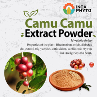 Camu Camu Powder 5kg to 50kg