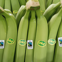 Organic banana 